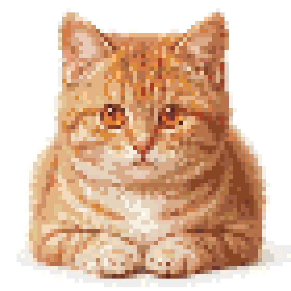 写实橘猫